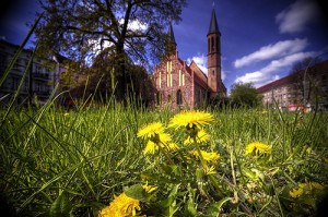 church and dandelion