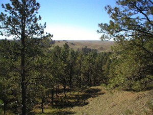 The view from our family's farm in Nebraska (circa 2004)