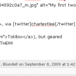 How the shortcode appears in the post editor