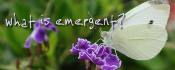 what is emergent series what is emergent series